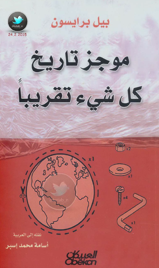 موجز تاریخ کل شیء تقریبا