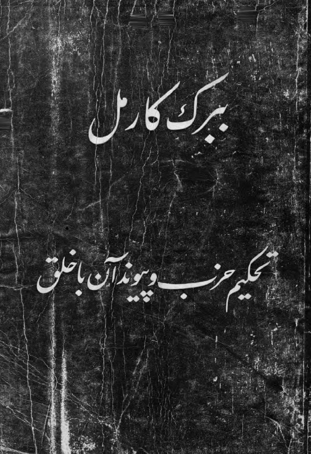 تحکیم حزب و پیوند آن با خلق