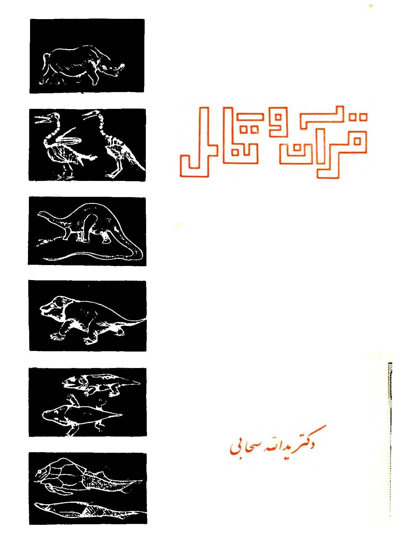 قرآن مجید و تکامل موجودات زنده