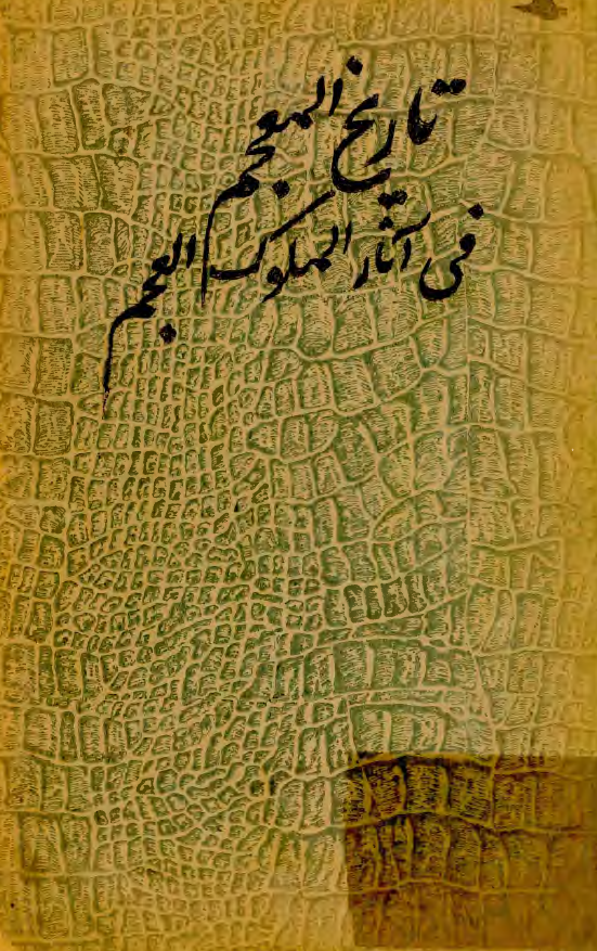 التاريخ المعجم في آثار الملوک العجم المصور