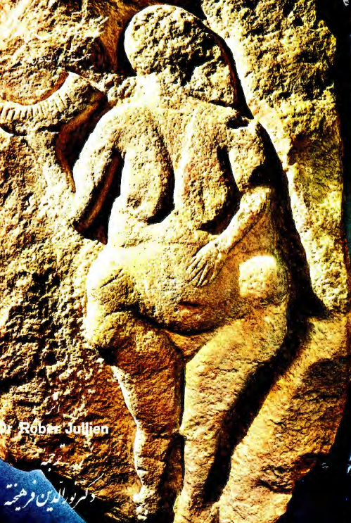 سنگواره های انسان عصر حجر (اسناد و مدارک تکامل آدمی)