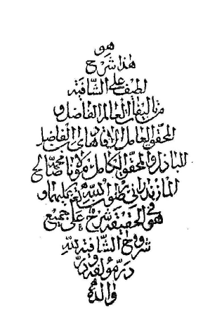 شرح شافيه ابن حاجب = شرح الشافية