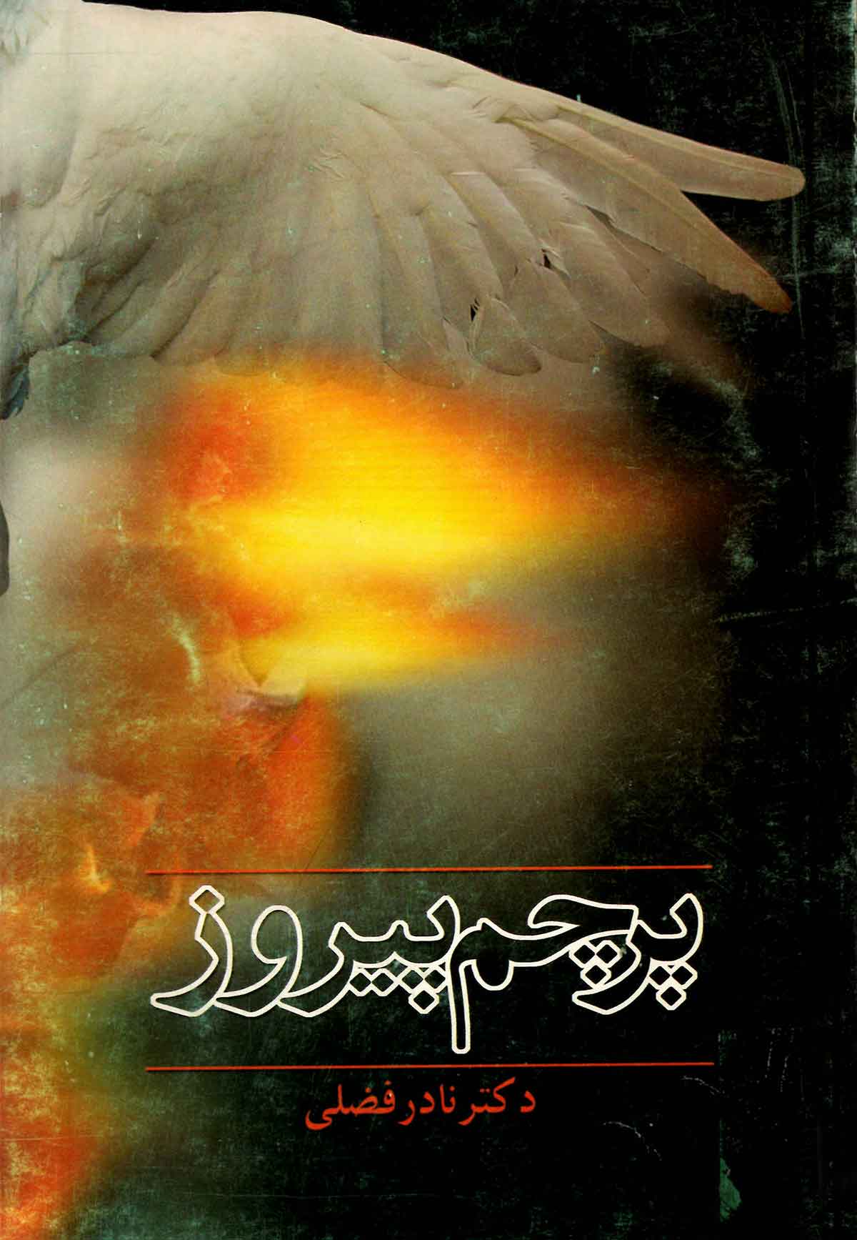 پرچم پیروز