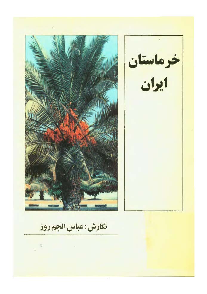 خرماستان ايران: تاريخ پيدايش و آمار خرما و نخلستان ها 