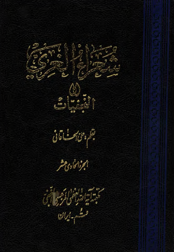 شعراء الغري او النجفيات