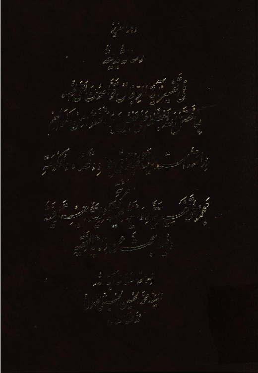 رساله بدیعه فی تفسیر آیه "الرجال قوامون علی النساء بما فضل الله بعضهم علی بعض و بنا انفقوا من اموالهم": دراسه استدلالیه حلیه فی جهاد و قضاء و حکومت المرئه؛ مجموعه تفسیریه روائیه فقهیه علمیه اجتماعیه و فیها بحث عن ولایه الفقیه