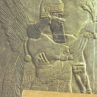 ستيفاني دالي اساطير من بلاد مابين