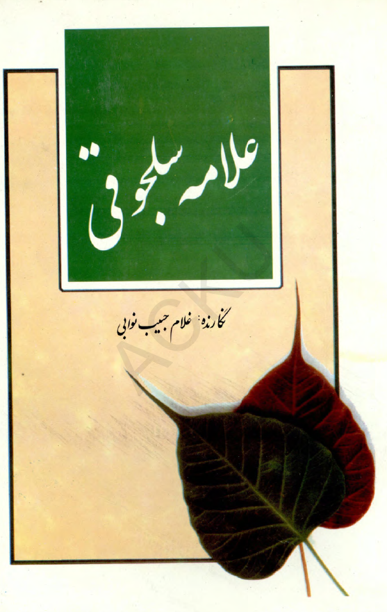 علامه سلجوقی