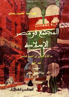 المجتمع في مصر الإسلامية من الفتح العربي إلى العصر الفاطمي الجزء