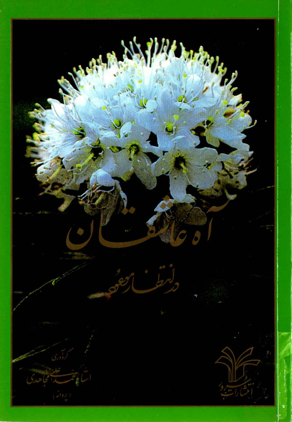 آه عاشقان در انتظار موعود
