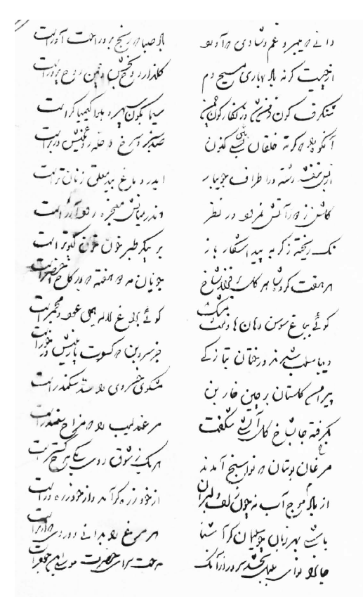 دیوان نوای کاشی و دیوان صاحب علی آبادی