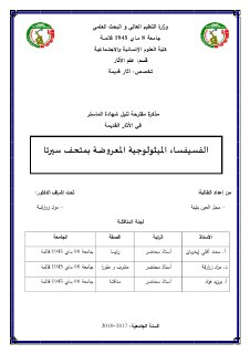 الفسيفساء الميثولوجية المعروضة بمتحف سيرتا