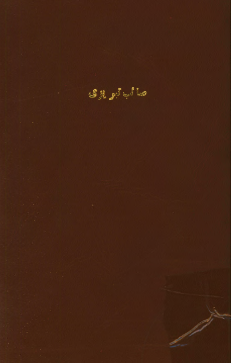 صائب تبریزی