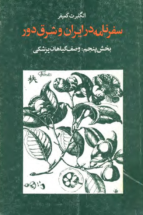 سفرنامه در ايران و شرق دور