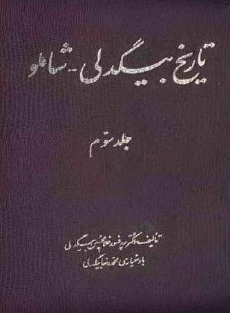 تاريخ بيگدلي شاملو، ج3
