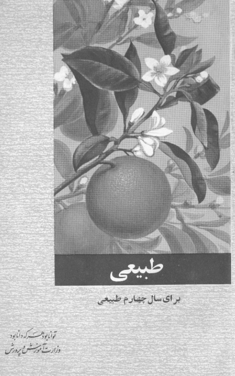 طبیعی برای سال چهارم طبیعی