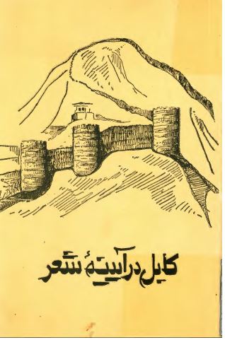 کابل در آيينه شعر ( مجموعه شعر )
