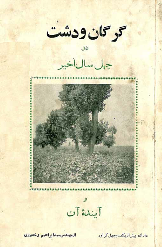 گرگان و دشت در چهل سال اخیر و آینده آن