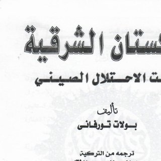 تركستان الشرقية تحت حكم الصين