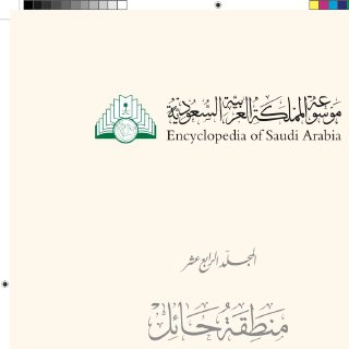 منطقة حائل