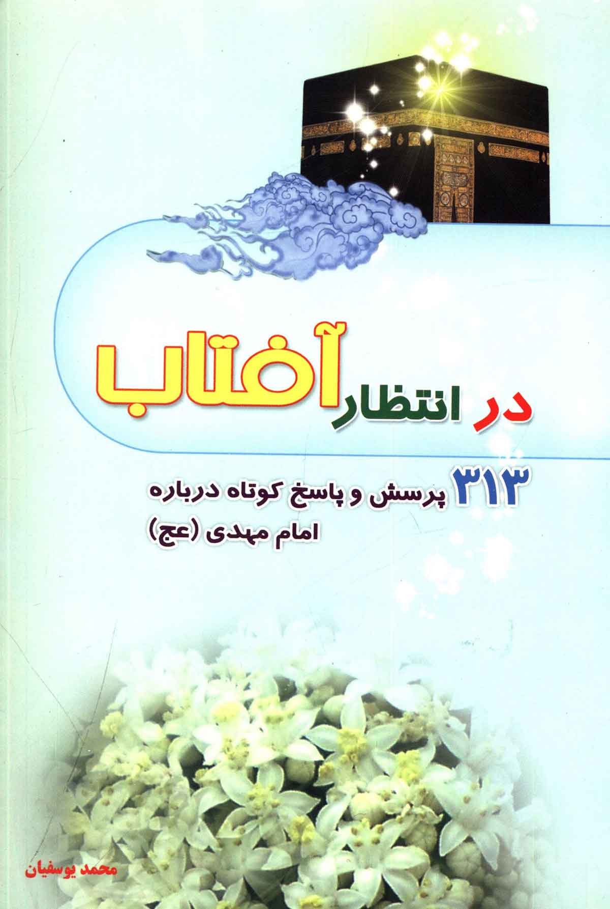 در انتظار آفتاب: 313 پرسش و پاسخ کوتاه درباره امام مهدی (عج)
