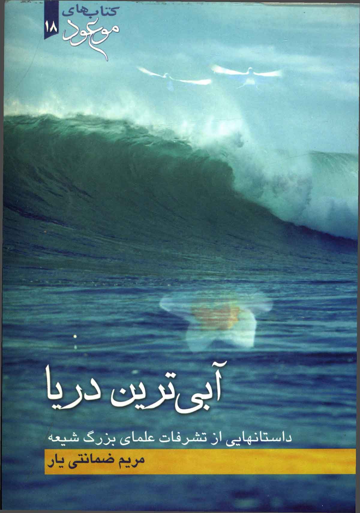 آبی ترین دریا: داستانهایی از تشرفات علمای بزرگ شیعه