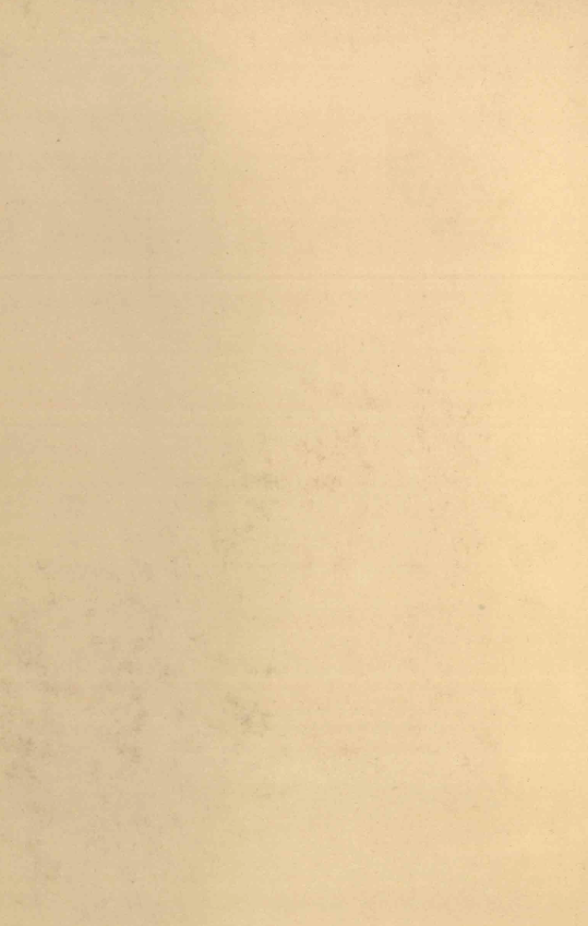 تاريخ الشيعه
