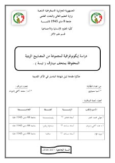 دراسة إيكونوغرافية لمجموعة من المصابيح الزيتية المحفوظة بمتحف مينارف