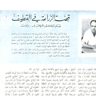 تقرير أرامكو عن الزراعة في القطيف عام 1956
