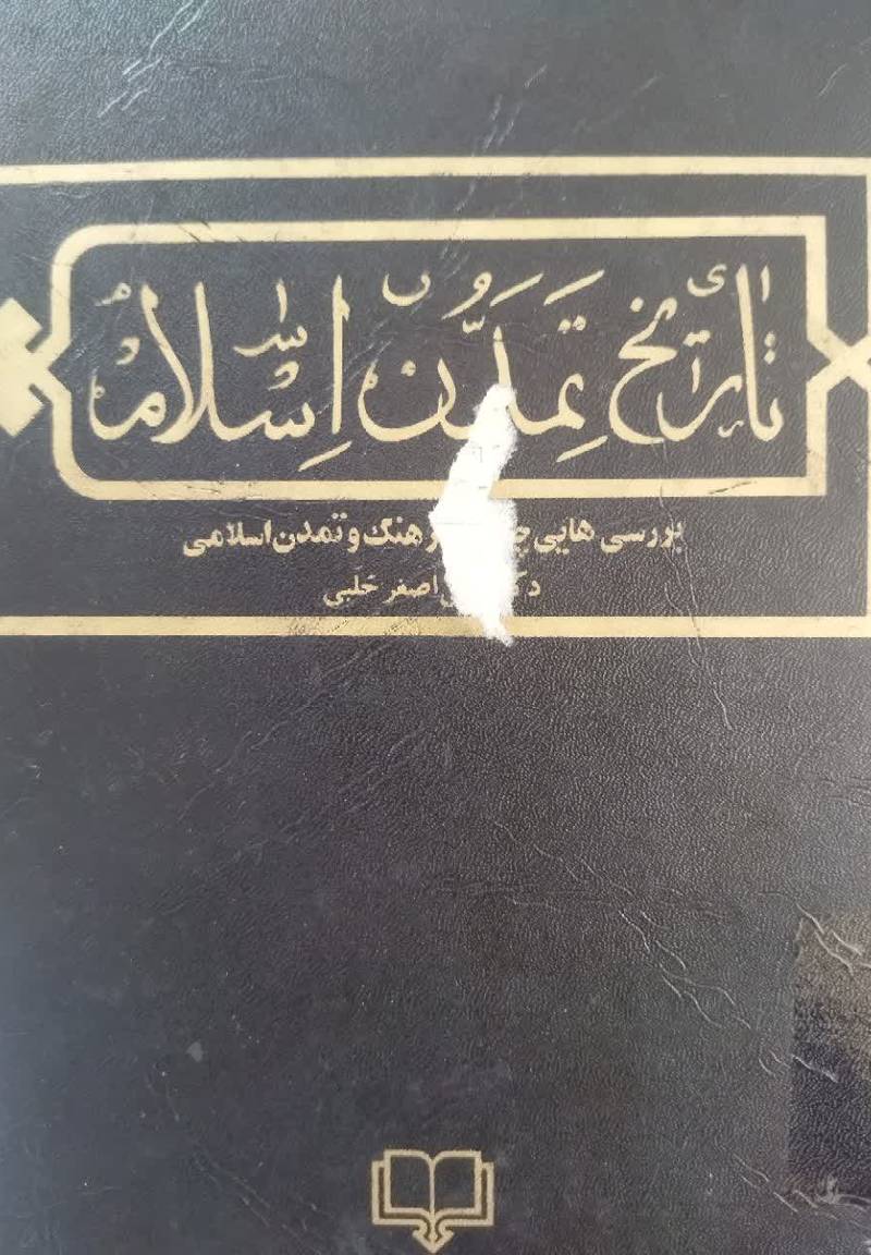 تاریخ تمدن اسلامی: بررسی هایی چند در فرهنگ و تمدن اسلامی 