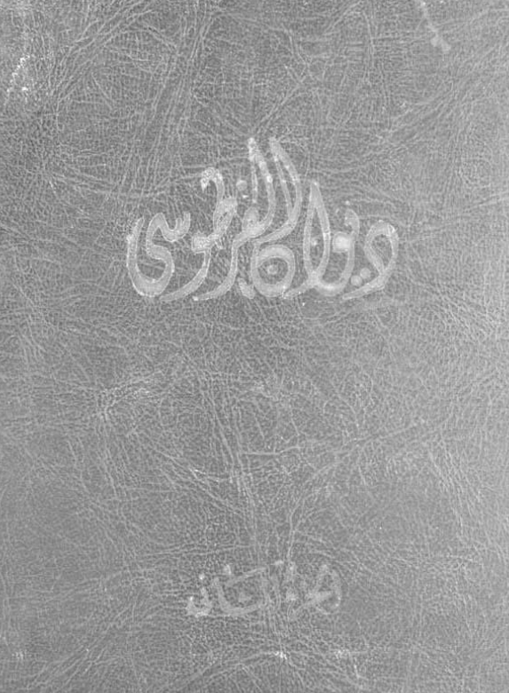 دیوان الفرطوسی