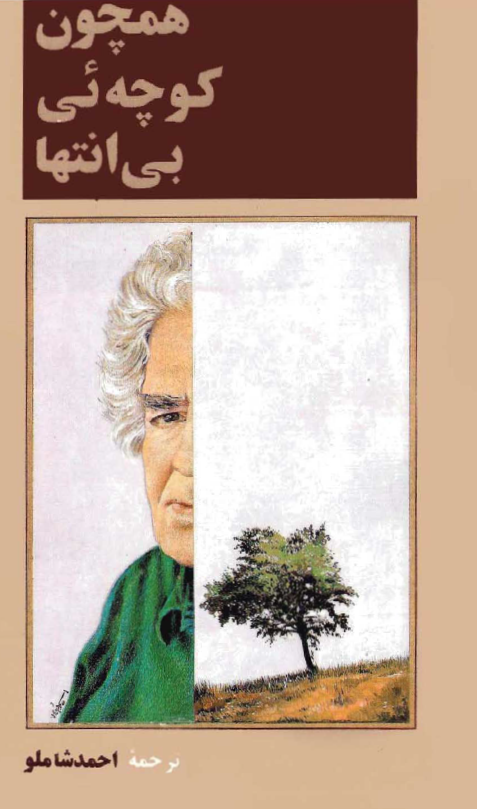 همچون کوچه ئی بی انتها (گزینه ئی از شاعران بزرگ جهان)