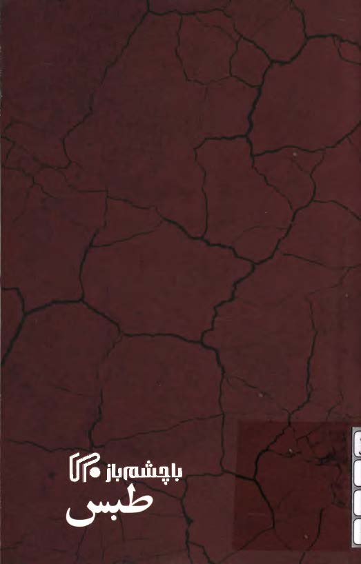 با چشم باز ( طبس )
