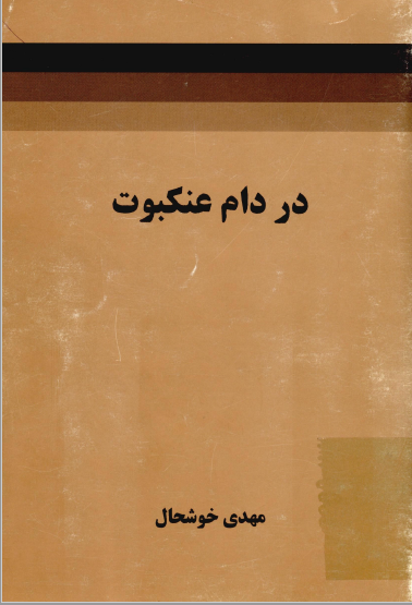 در دام عنکبوت