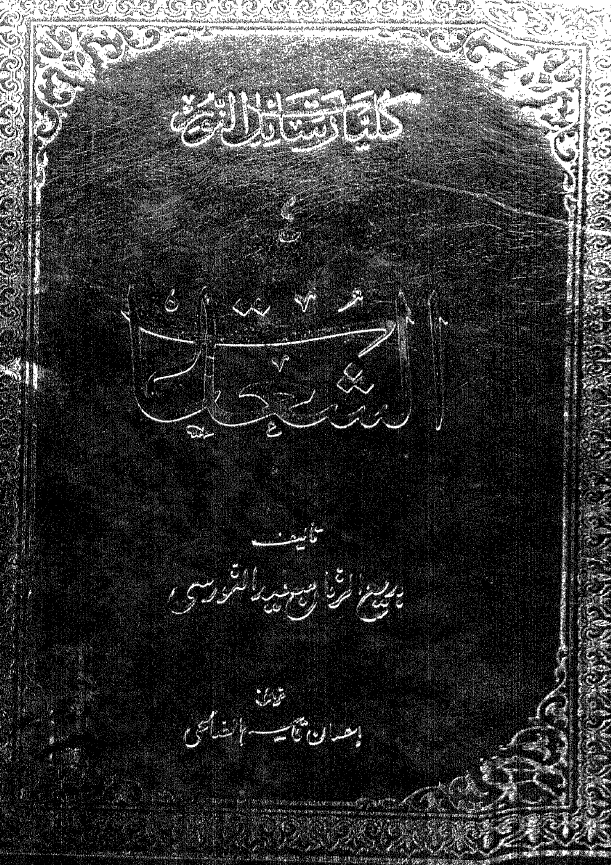 کلیات رسائل النور؛ الشعاعات